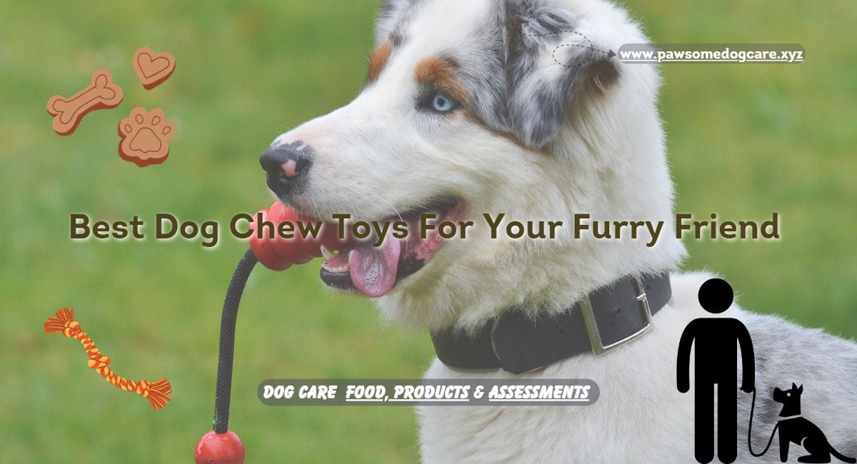 Dog Chew Toys